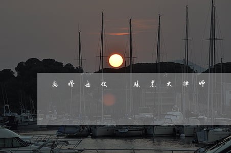 离婚无效 腹黑大律师 离婚无效 腹黑大律师